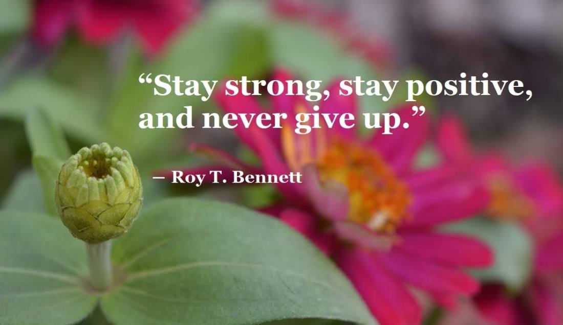stay-strong-stay-positive-and-never-give-up-roy-t-bennett-never-ever-give-up-motivational-quotes-be-an-inspirer